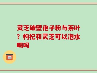 灵芝破壁孢子粉与茶叶？枸杞和灵芝可以泡水喝吗