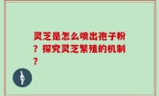 灵芝是怎么喷出孢子粉？探究灵芝繁殖的机制？
