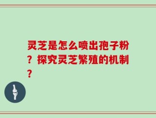 灵芝是怎么喷出孢子粉？探究灵芝繁殖的机制？