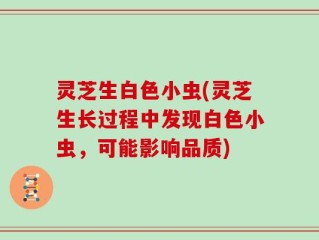 灵芝生白色小虫(灵芝生长过程中发现白色小虫，可能影响品质)