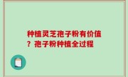 种植灵芝孢子粉有价值？孢子粉种植全过程