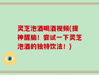 灵芝泡酒喝酒视频(提神醒脑！尝试一下灵芝泡酒的独特饮法！)
