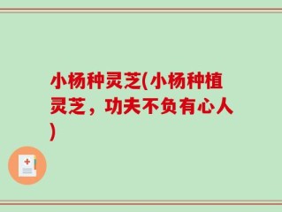 小杨种灵芝(小杨种植灵芝，功夫不负有心人)