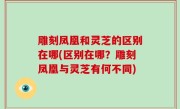 雕刻凤凰和灵芝的区别在哪(区别在哪？雕刻凤凰与灵芝有何不同)