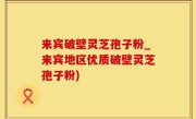 来宾破壁灵芝孢子粉_来宾地区优质破壁灵芝孢子粉)