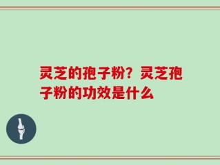 灵芝的孢子粉？灵芝孢子粉的功效是什么