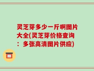 灵芝芽多少一斤啊图片大全(灵芝芽价格查询：多张高清图片供应)