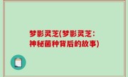 梦影灵芝(梦影灵芝：神秘菌种背后的故事)