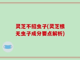 灵芝不招虫子(灵芝根无虫子成分要点解析)