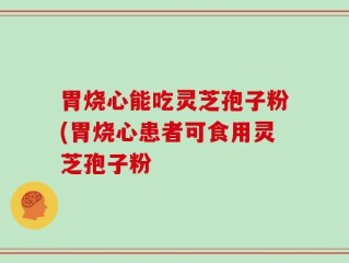 胃烧心能吃灵芝孢子粉(胃烧心患者可食用灵芝孢子粉