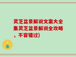 灵芝盆景解说文案大全集灵芝盆景解说全攻略，不容错过)