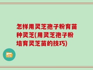怎样用灵芝孢子粉育苗种灵芝(用灵芝孢子粉培育灵芝苗的技巧)