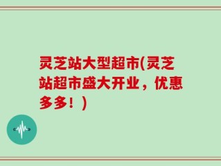 灵芝站大型超市(灵芝站超市盛大开业，优惠多多！)