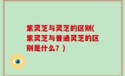 紫灵芝与灵芝的区别(紫灵芝与普通灵芝的区别是什么？)