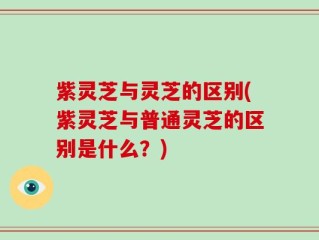 紫灵芝与灵芝的区别(紫灵芝与普通灵芝的区别是什么？)