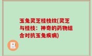 玉兔灵芝桂枝纹(灵芝与桂枝：神奇的药物组合对抗玉兔疾病)