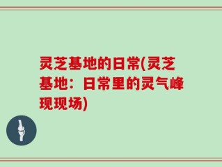灵芝基地的日常(灵芝基地：日常里的灵气峰现现场)