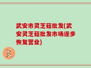 武安市灵芝菇批发(武安灵芝菇批发市场逐步恢复营业)