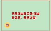 天然深山野灵芝(深山野灵芝：天然之宝)