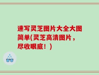 速写灵芝图片大全大图简单(灵芝高清图片，尽收眼底！)