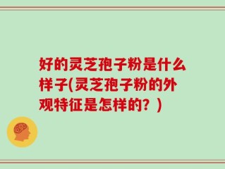好的灵芝孢子粉是什么样子(灵芝孢子粉的外观特征是怎样的？)