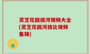 灵芝花园拔河视频大全(灵芝花园河拔比视频集锦)