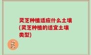 灵芝种植适应什么土壤(灵芝种植的适宜土壤类型)