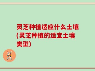 灵芝种植适应什么土壤(灵芝种植的适宜土壤类型)