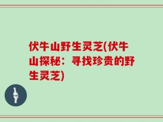 伏牛山野生灵芝(伏牛山探秘：寻找珍贵的野生灵芝)