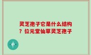 灵芝孢子它是什么结构？位元堂仙草灵芝孢子