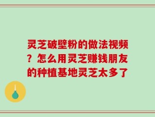 灵芝破壁粉的做法视频？怎么用灵芝赚钱朋友的种植基地灵芝太多了