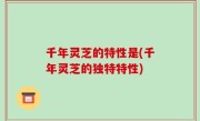 千年灵芝的特性是(千年灵芝的独特特性)