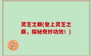 灵芝之巅(登上灵芝之巅，探秘奇妙功效！)