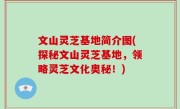 文山灵芝基地简介图(探秘文山灵芝基地，领略灵芝文化奥秘！)