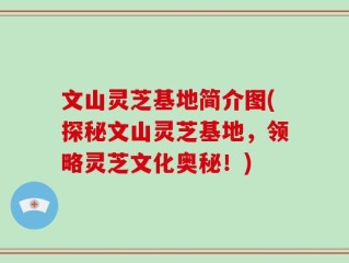 文山灵芝基地简介图(探秘文山灵芝基地，领略灵芝文化奥秘！)