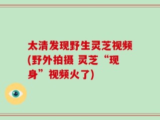 太清发现野生灵芝视频(野外拍摄 灵芝“现身”视频火了)