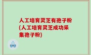 人工培育灵芝有孢子粉(人工培育灵芝成功采集孢子粉)