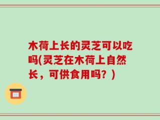 木荷上长的灵芝可以吃吗(灵芝在木荷上自然长，可供食用吗？)