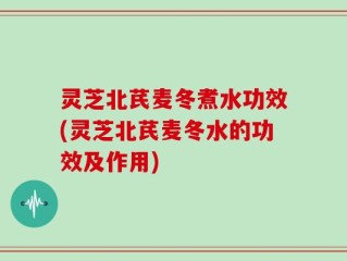灵芝北芪麦冬煮水功效(灵芝北芪麦冬水的功效及作用)