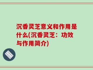 沉香灵芝意义和作用是什么(沉香灵芝：功效与作用简介)