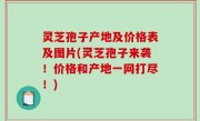 灵芝孢子产地及价格表及图片(灵芝孢子来袭！价格和产地一网打尽！)