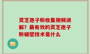 灵芝孢子粉收集视频讲解？最有效的灵芝孢子粉破壁技术是什么