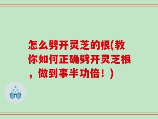 怎么劈开灵芝的根(教你如何正确劈开灵芝根，做到事半功倍！)