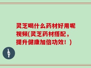 灵芝喝什么药材好用呢视频(灵芝药材搭配，提升健康加倍功效！)
