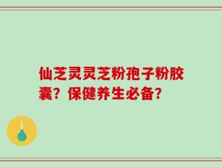 仙芝灵灵芝粉孢子粉胶囊？保健养生必备？