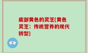 底部黄色的灵芝(黄色灵芝：传统营养的现代转型)