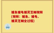 捕鱼捕龟捕灵芝糊视频(视频：捕鱼、捕龟、捕灵芝糊全过程)