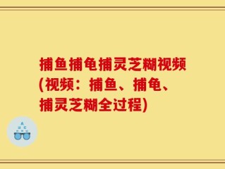 捕鱼捕龟捕灵芝糊视频(视频：捕鱼、捕龟、捕灵芝糊全过程)