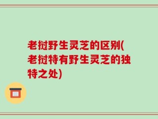 老挝野生灵芝的区别(老挝特有野生灵芝的独特之处)