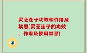 灵芝连子功效和作用及禁忌(灵芝连子的功效、作用及使用禁忌)